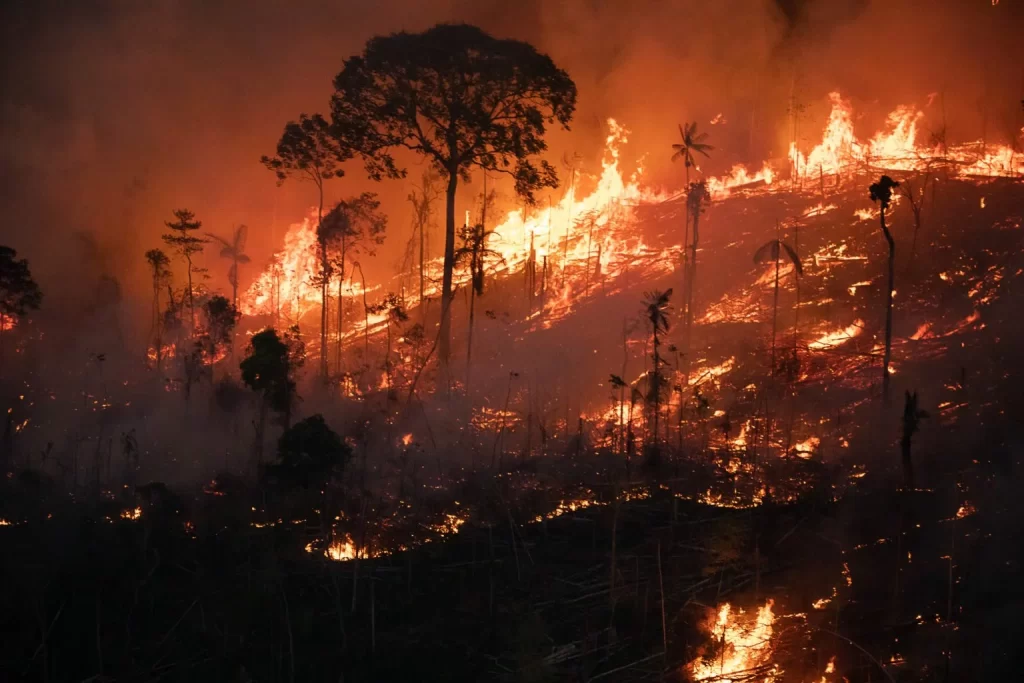 Incêndios afastam Brasil de ambição climática e podem chamuscar COP de Belém