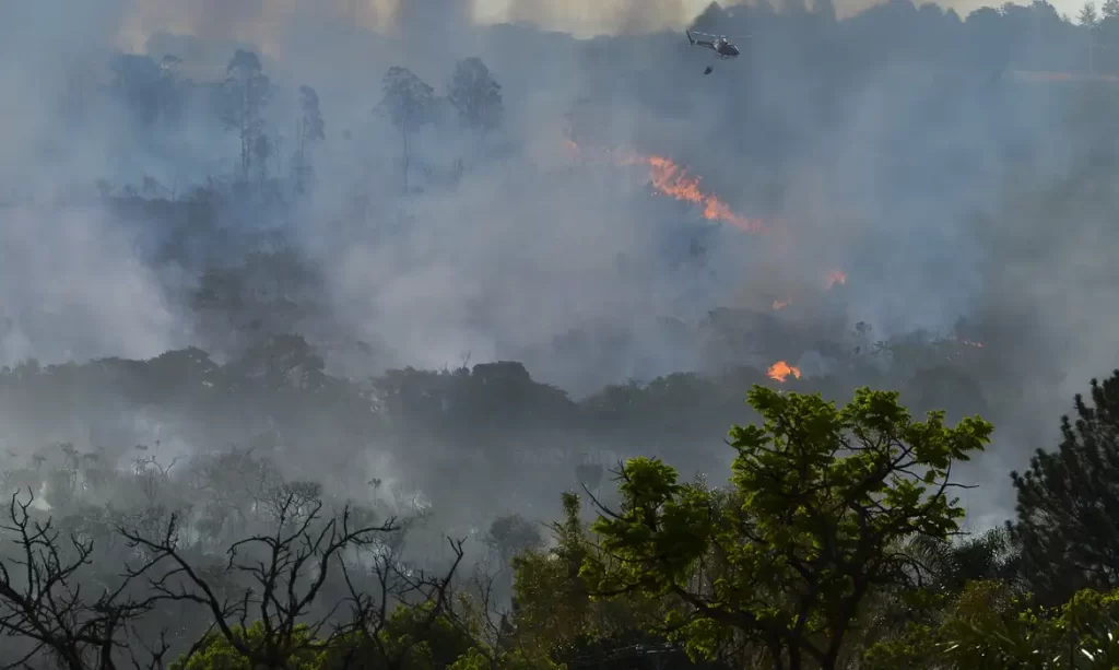 Por que as queimadas no Cerrado ameaçam a segurança hídrica