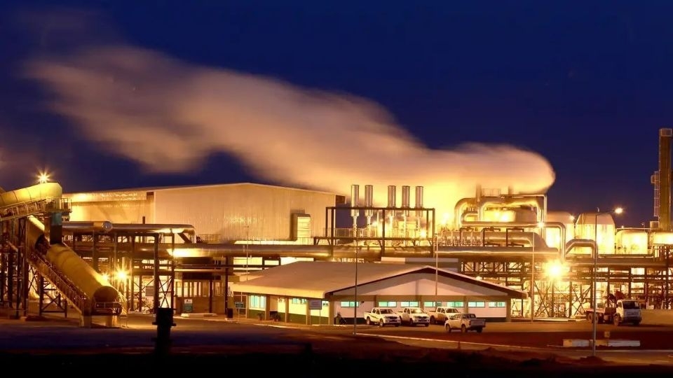 UE Propõe Adiamento de 12 Meses na Lei Antidesmatamento