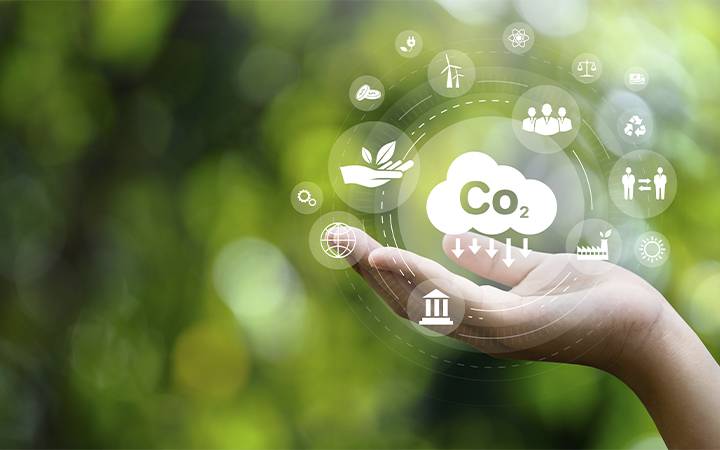Senado aprova regulamentação do mercado de carbono