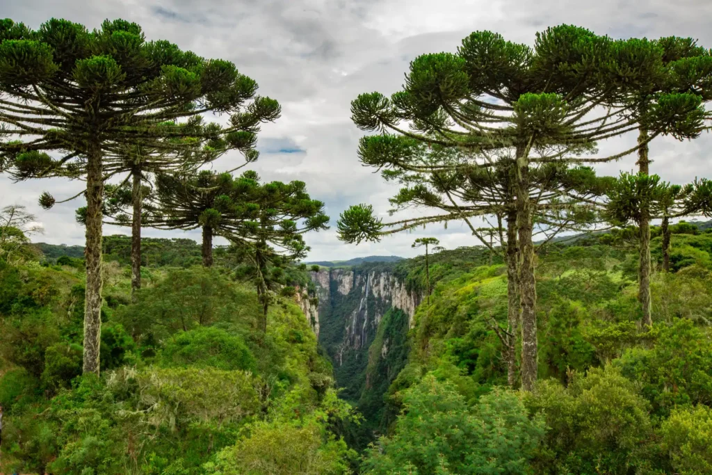 Como um Estudo de Viabilidade Ambiental Evitou um Investimento de Alto Risco no Setor de Turismo
